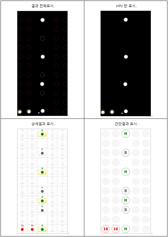 분석결과